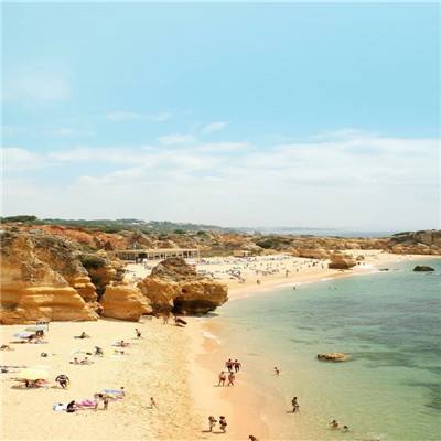 乐鱼app登录入口手机app下载